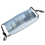 yanfind Winter Forest Sky Slope Spruce Tree Forest Winter Freezing Atmospheric Snow Fir Dust Washable Reusable Filter and Reusable Mouth Warm Windproof Cotton Face