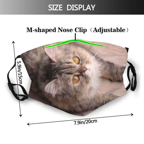 yanfind Lovely Fur Young Little Cat Cute Still Wood Soft Charming Beautiful Pretty Dust Washable Reusable Filter and Reusable Mouth Warm Windproof Cotton Face