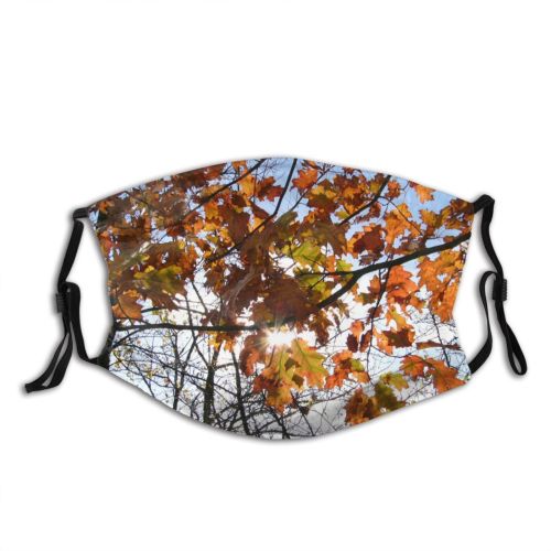 yanfind Leaves Deciduous Maple Leaf Plant Twig Tree Tree Branch Plant Autumn Sun Dust Washable Reusable Filter and Reusable Mouth Warm Windproof Cotton Face