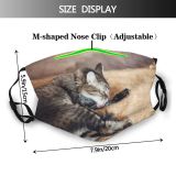 yanfind Comfortable Lick Washes Whisker Fur Young Striped Cat Kitty Cute Emotions Room Dust Washable Reusable Filter and Reusable Mouth Warm Windproof Cotton Face