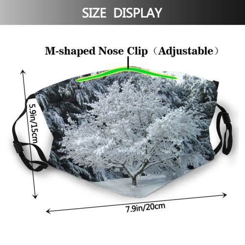 yanfind Winter Sky Plant Tree Outside Branch Plant Frost Winter Blizzard Freezing Snow Dust Washable Reusable Filter and Reusable Mouth Warm Windproof Cotton Face