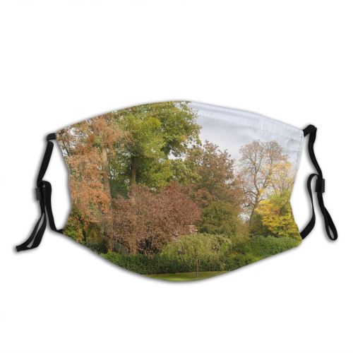 yanfind Colours Landscape Leaf Plant Tree Plant Botany Grass Natural Autumn Garden Autumn Dust Washable Reusable Filter and Reusable Mouth Warm Windproof Cotton Face
