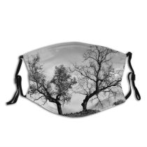 yanfind Dead Winter Natural Sadness Landscape Sky Branch Tree Tree Leafs Trees Dry Dust Washable Reusable Filter and Reusable Mouth Warm Windproof Cotton Face
