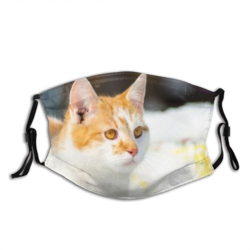 yanfind Fur Young Cat Kitty Cute Beautiful Pretty Pet Eyes Portrait Kitten Adorable Dust Washable Reusable Filter and Reusable Mouth Warm Windproof Cotton Face