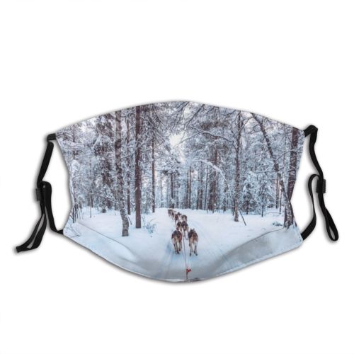 yanfind Ice Sport Sledding Sunset Arctic Landscape Finnish Lapland Scene Pursuit Polar Snow Dust Washable Reusable Filter and Reusable Mouth Warm Windproof Cotton Face