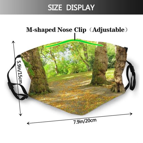 yanfind Dead Bushes Natural Autumn Woody Leaves Landscape Plant Wood Forest Leaf Tree Dust Washable Reusable Filter and Reusable Mouth Warm Windproof Cotton Face