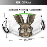 yanfind Chil Ears Elegant Isolated Beautiful Hipster Art Easter Pet Lovable Adorable Hare Dust Washable Reusable Filter and Reusable Mouth Warm Windproof Cotton Face