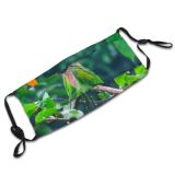 yanfind India Beak Bird Wing Plant Parakeet Leaf Adaptation Rainforest Parrot Organism Indian Dust Washable Reusable Filter and Reusable Mouth Warm Windproof Cotton Face