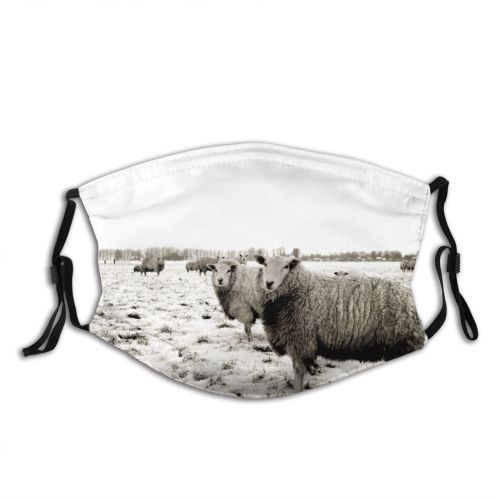 yanfind Winter Grazing Goat Landscape Landscape Bovine Gronigen Netherlands Pasture Snout Cow Herd Dust Washable Reusable Filter and Reusable Mouth Warm Windproof Cotton Face