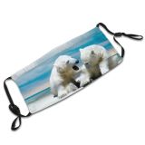 yanfind Ice Michigan Arctic Frozen Wild Togetherness Polar Snow Wilderness Sky Over Wildlife Dust Washable Reusable Filter and Reusable Mouth Warm Windproof Cotton Face
