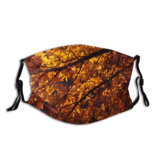 yanfind Leaves Deciduous Leaf Trees Twig Tree Branch Plant Autumn Autumn Plants Woody Dust Washable Reusable Filter and Reusable Mouth Warm Windproof Cotton Face
