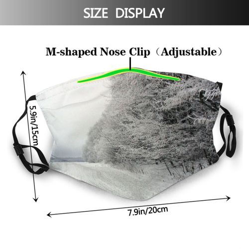 yanfind Winter Tree Branch Frost Winter Freezing Atmospheric Snow Dust Washable Reusable Filter and Reusable Mouth Warm Windproof Cotton Face