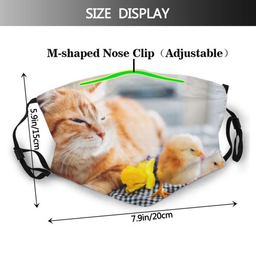 yanfind Friends Farm Bird Countryside Young Little Cat Village Farmer Easter Live Child Dust Washable Reusable Filter and Reusable Mouth Warm Windproof Cotton Face