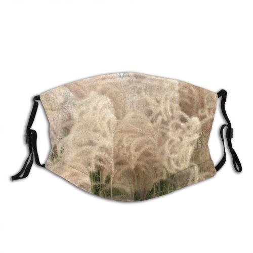 yanfind Grasses Grass Browns Seeds Plant Filaments Stems Seed Pods Family Fecund Clematis Dust Washable Reusable Filter and Reusable Mouth Warm Windproof Cotton Face
