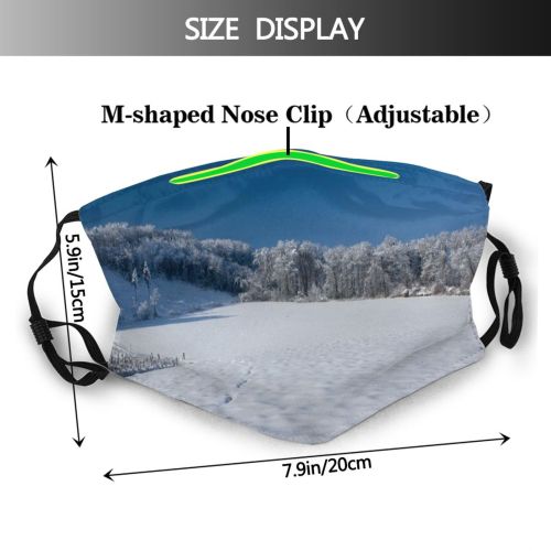 yanfind Winter Frozen Sky Cool Field Swiss Winter Natural Wilderness Landscape Mountain Sky Dust Washable Reusable Filter and Reusable Mouth Warm Windproof Cotton Face