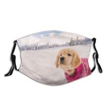 yanfind Rural Scene Snow Camera Forest Over Scenics Cute Land Sweater Temperature Dust Washable Reusable Filter and Reusable Mouth Warm Windproof Cotton Face