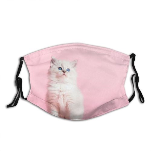 yanfind Fur Young Cat Kitty Cute Newborn Pastel Pedigree Sweet Face Pet Studio Dust Washable Reusable Filter and Reusable Mouth Warm Windproof Cotton Face