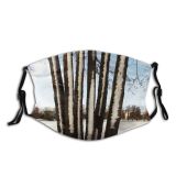 yanfind Winter Sky Trunk Winter Woody Sky Plant Branch Snow Tree Tree Trunk Dust Washable Reusable Filter and Reusable Mouth Warm Windproof Cotton Face