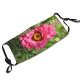yanfind Plant Annual Romania Flower Flower Plant Mediaserv Zinnia Botany Common Petal Peony Dust Washable Reusable Filter and Reusable Mouth Warm Windproof Cotton Face