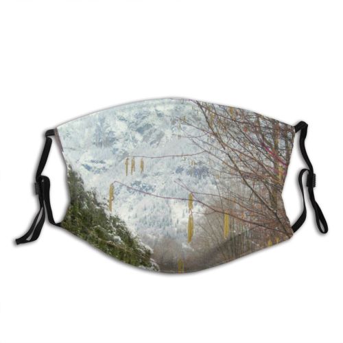 yanfind Winter Rural Landscape Field Sky Bank Plant Tree Ice Frost Winter Freezing Dust Washable Reusable Filter and Reusable Mouth Warm Windproof Cotton Face