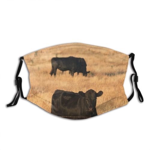 yanfind Grazing Field Field Natural Meadows Australia Sky Cattle Bovine Pasture Prairie Grassland Dust Washable Reusable Filter and Reusable Mouth Warm Windproof Cotton Face