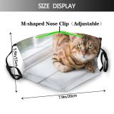 yanfind Fur Young Striped Cat Cute Window Mood Pedigreed Leopard Pedigree Curious Beautiful Dust Washable Reusable Filter and Reusable Mouth Warm Windproof Cotton Face