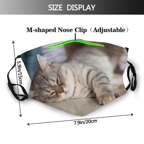 yanfind Highland Comfort Lovely Fur Straight Striped Cat Kitty Cute Shorthair Staring Culture Dust Washable Reusable Filter and Reusable Mouth Warm Windproof Cotton Face