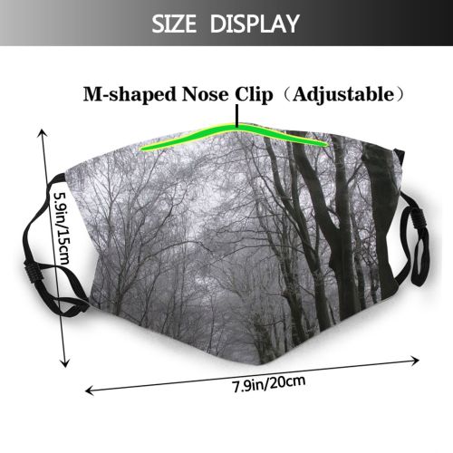 yanfind Denmark Winter Landscape Sky Tree Plant Branch Forest Natural Atmospheric Woodland Woody Dust Washable Reusable Filter and Reusable Mouth Warm Windproof Cotton Face