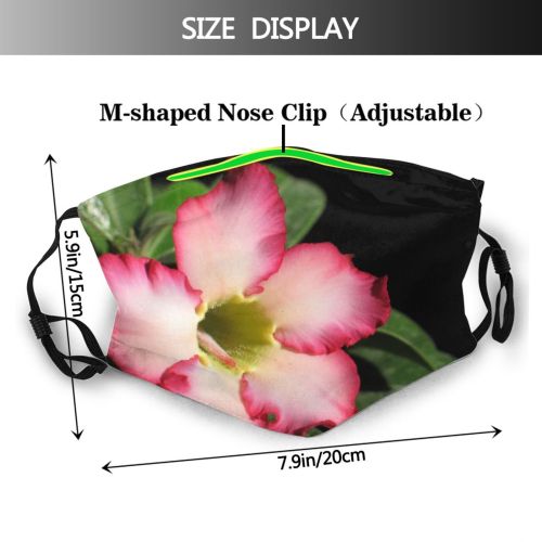 yanfind Plant Annual Animali Fiori Flower Plant Desert Mare Family Four Botany Rose Dust Washable Reusable Filter and Reusable Mouth Warm Windproof Cotton Face