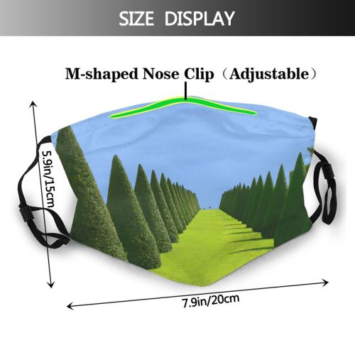 yanfind Sky Woody Landscape Thuya Sky Plant Shrub Tree Tree Versailles Biome France Dust Washable Reusable Filter and Reusable Mouth Warm Windproof Cotton Face