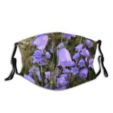 yanfind Plant Bellflower Asterales Petal Plant Flower Flowers Flowering Harebell Family Wild Lobelia Dust Washable Reusable Filter and Reusable Mouth Warm Windproof Cotton Face