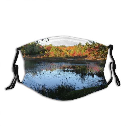 yanfind Natural Pond Landscape Reflection Fall Leaf Pond England Tree Autumn Bank Trees Dust Washable Reusable Filter and Reusable Mouth Warm Windproof Cotton Face