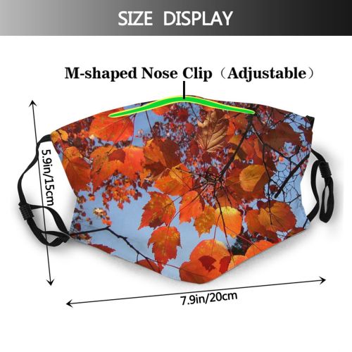 yanfind Plant Biome Plant Branch Leaf Leaf Autumn Twig Woody Deciduous Sky Tree Dust Washable Reusable Filter and Reusable Mouth Warm Windproof Cotton Face