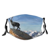 yanfind Winter Goat Landscape Mountain Chamois Goats Rocks Ice Cow Mountain Landscapes Family Dust Washable Reusable Filter and Reusable Mouth Warm Windproof Cotton Face