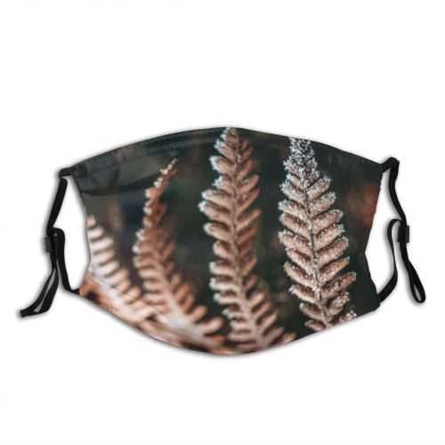 yanfind Poland Defocused Leaf Coniferous Tranquility Needle Tree Snow Foreground Snowcapped Forest Flower Dust Washable Reusable Filter and Reusable Mouth Warm Windproof Cotton Face