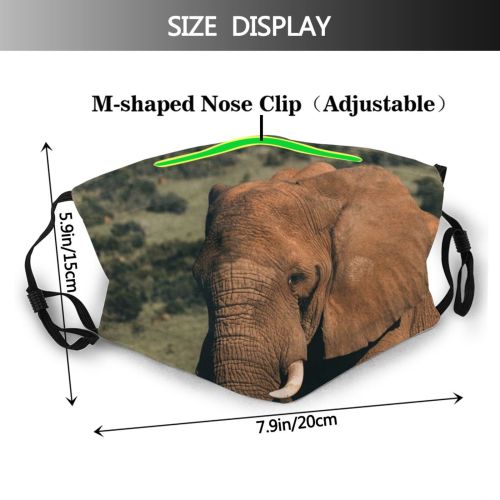 yanfind Idyllic Elephantidae Calm Skin Chordate Massive Lawn Tranquil Big Trunk Power Zoology Dust Washable Reusable Filter and Reusable Mouth Warm Windproof Cotton Face