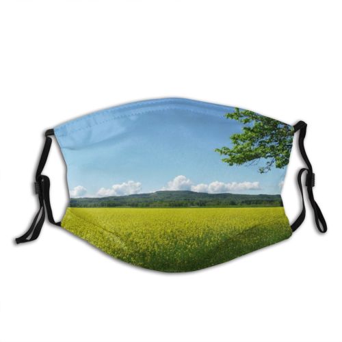yanfind Field Sky Rapeseed Meadow Colza Sweden Rapeseed Seed Grassland Canola Rape Sky Dust Washable Reusable Filter and Reusable Mouth Warm Windproof Cotton Face