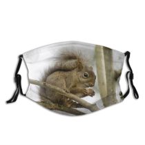 yanfind Ground Squirrel Chubby Eating Branch Fur Squirrels Snout Rodent Vertebrate Leaf Squirrel Dust Washable Reusable Filter and Reusable Mouth Warm Windproof Cotton Face