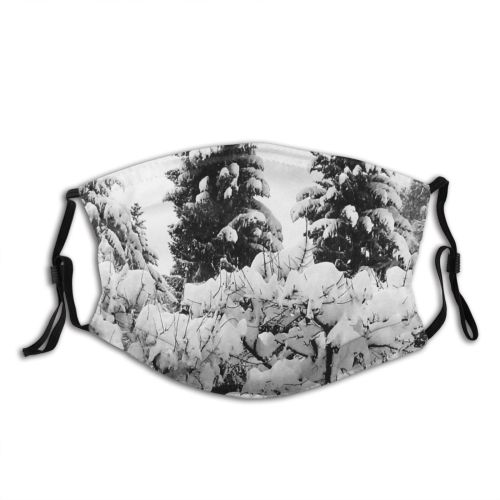 yanfind Spruce Winter Colorado Balsam Shortleaf Spruce Snow Tree Tree Garden Freezing Fir Dust Washable Reusable Filter and Reusable Mouth Warm Windproof Cotton Face
