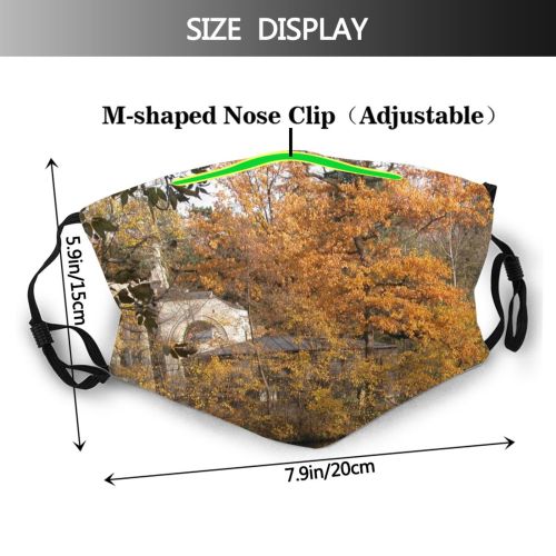 yanfind Leafs Landscape Vegetation Leaf Reflection Tree Bank Natural Autumn Warsaw Autumn Warszawa Dust Washable Reusable Filter and Reusable Mouth Warm Windproof Cotton Face