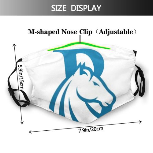 yanfind Isolated Bird Comic Cute Peace Colorful Wildlife Design Pet Art Decoration Fun Dust Washable Reusable Filter and Reusable Mouth Warm Windproof Cotton Face