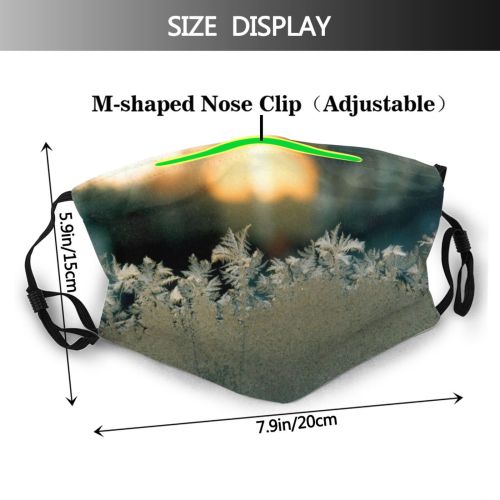 yanfind Winter Macro Sunlight Frost Sky Plant Frost Winter Morning Freezing Grass Snow Dust Washable Reusable Filter and Reusable Mouth Warm Windproof Cotton Face