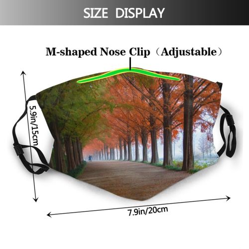 yanfind Idyllic Autumn Perspective Foliage Park Road Walkway Branches Roadway Tranquil Scenery Tree Dust Washable Reusable Filter and Reusable Mouth Warm Windproof Cotton Face