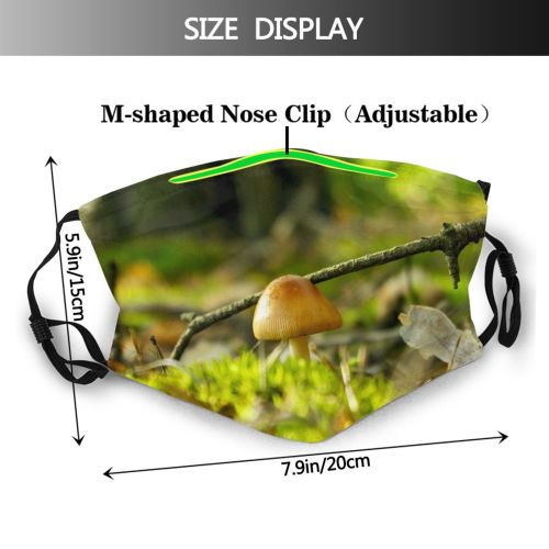 yanfind Peak Landscape Edible Biome Russula Agaricaceae Natural Branch Forest Mushroom Fungus Mushroom Dust Washable Reusable Filter and Reusable Mouth Warm Windproof Cotton Face