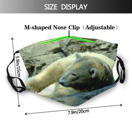 yanfind Sleeping York Polar Mammals Snout Vertebrate Organism Adaptation Sleep Bath Terrestrial Bear Dust Washable Reusable Filter and Reusable Mouth Warm Windproof Cotton Face