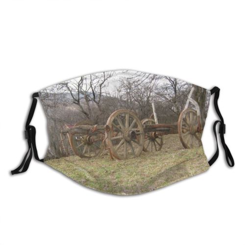 yanfind Vehicle Wagon Car Wood Area Caruta Rural Kocka Plant System Wheels Wheel Dust Washable Reusable Filter and Reusable Mouth Warm Windproof Cotton Face
