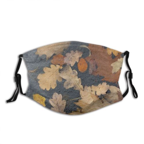 yanfind Winter Leafs Frost Leaf Plant Tree Ice Autumn Plane Floor Snow Dust Washable Reusable Filter and Reusable Mouth Warm Windproof Cotton Face