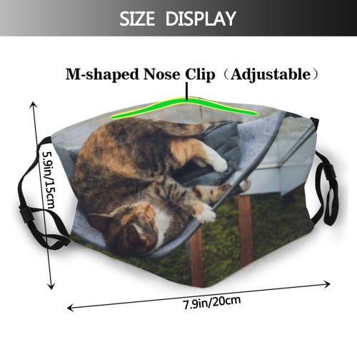 yanfind Lovely Whisker Fur Young Striped Cat Kitty British Cute Shorthair Welcoming Baby Dust Washable Reusable Filter and Reusable Mouth Warm Windproof Cotton Face