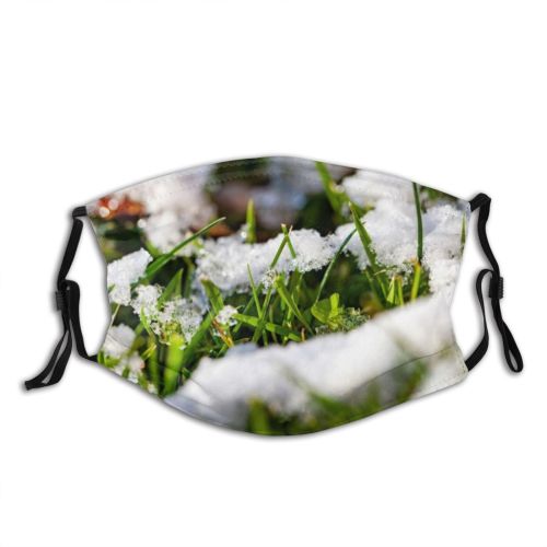yanfind Ice Design Frost Defocused Grass Leaf Landscape Autumn Snowdrift Frozen Scene Snow Dust Washable Reusable Filter and Reusable Mouth Warm Windproof Cotton Face