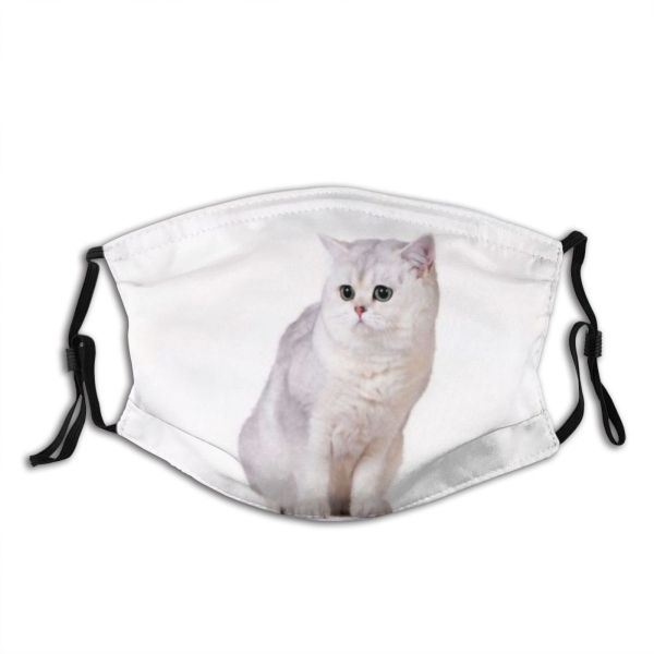 yanfind Isolated Whisker Fur Young Little Cat Kitty British Cute Striped Shorthair Adorable Dust Washable Reusable Filter and Reusable Mouth Warm Windproof Cotton Face